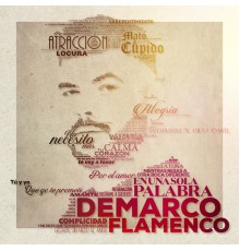 Demarco Flamenco - En una sola palabra