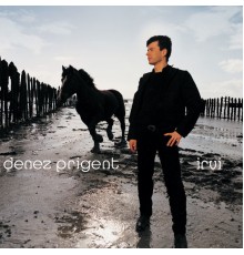 Denez Prigent - Irvi