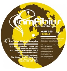 Derrick Boyd - Amfibius Global Sampler