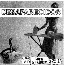 Desaparecidos - Live at Shea Stadium