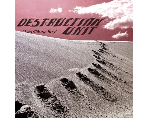 Destruction Unit - Two Strong Hits