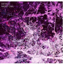 Detach - Night Owl