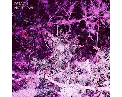 Detach - Night Owl