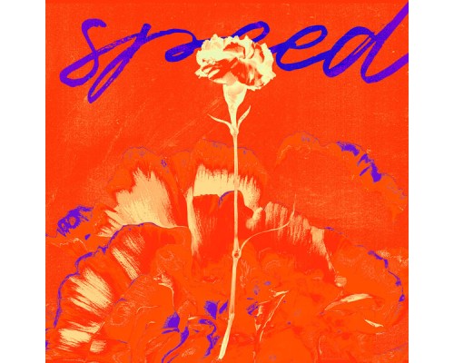 Detalji - Speed