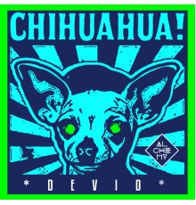 Devid - Chihuahua