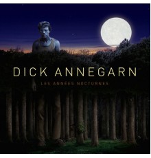 Dick Annegarn - Les années nocturnes