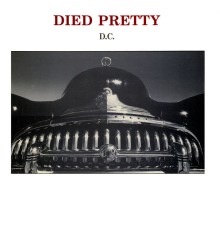 Died Pretty - D.C. / Wonder