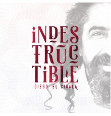 Diego El Cigala - Indestructible