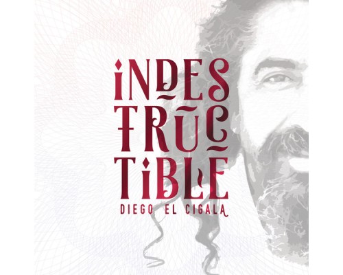 Diego El Cigala - Indestructible