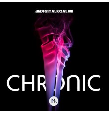 Digital Koala - Chronic