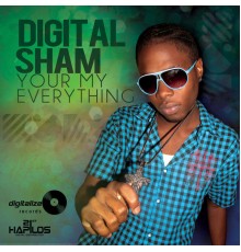 Digital Sham - Your My Everything