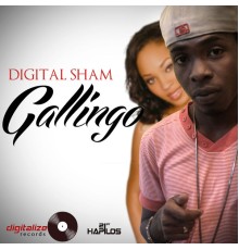 Digital Sham - Gallingo - Single