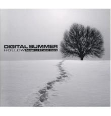 Digital Summer - Hollow