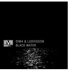 Dim4 & Ludvigson - Black Water