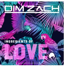 Dim Zach - Ingredients of Love