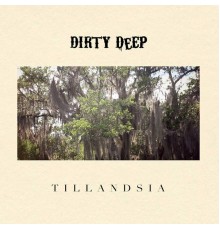 Dirty Deep - Tillandsia