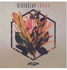 Discoslap - Lovely