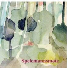 Div. - Spelemannsmøte