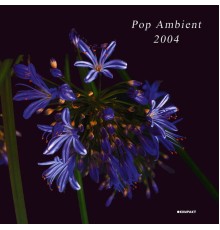 Diverse - Pop Ambient 2004