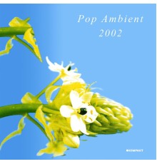 Diverse - Pop Ambient 2002