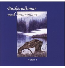 Diverse Artister - Buskerudtonar Med Tradisjonar, Vol. 3