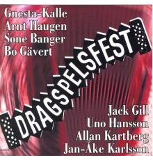 Diverse Artister - Dragspelsfest