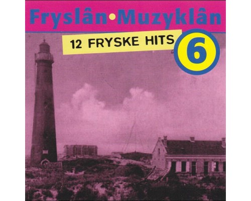 Diverse artiesten - Fryslan Muzyklan 6