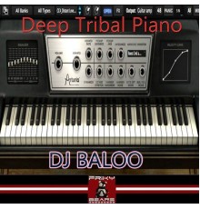 Dj Baloo - Deep Tribal Piano