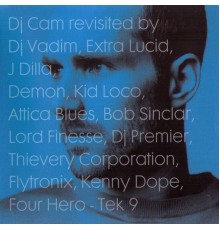 Dj Cam - Revisited By