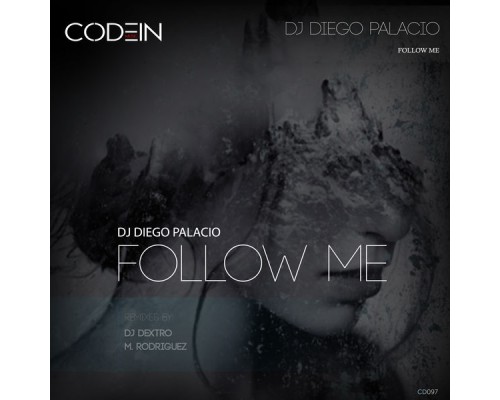 Dj Diego Palacio - Follow Me