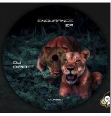 Dj Direkt - Endurance EP