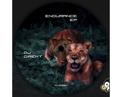 Dj Direkt - Endurance EP