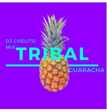 Dj chelito mix - Tribal Guaracha