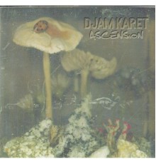 Djam Karet - Ascension