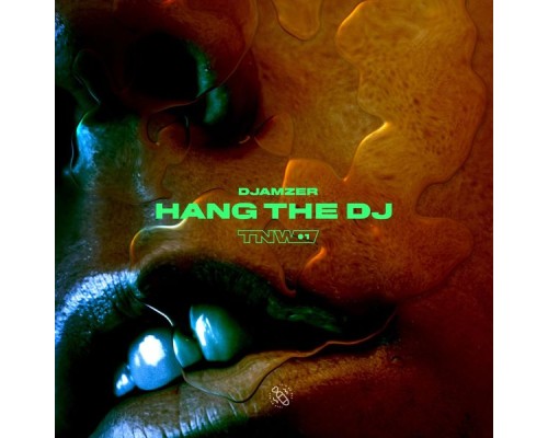 Djamzer - Hang the DJ