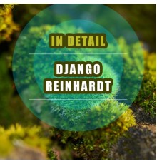 Django Reinhardt - In Detail