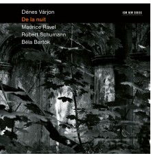 Dénes Várjon - De la nuit (Maurice Ravel - Robert Schumann - Béla Bartók)