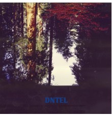 Dntel - Aimlessness