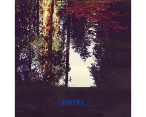 Dntel - Aimlessness