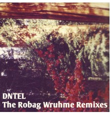 Dntel - The Robag Wruhme Remixes