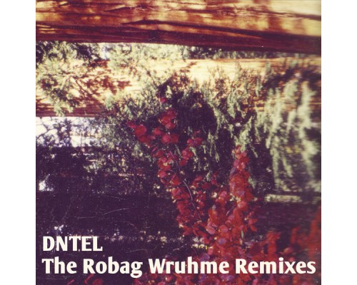 Dntel - The Robag Wruhme Remixes