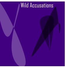 Doctor Fantasy - Wild Accusations