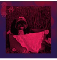 Dog Sleeping Soundtracks Deluxe - (Bossa Nova) Music for Relaxing Your Dog