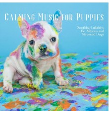 Dog Therapy Zone, Dog Music, Dog & Calm, AP - Calming Music for Puppies, Soothing Lullabies for Anxious and Stressed Dogs