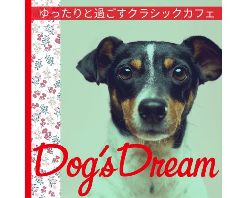 Dog’s Dream - ゆったりと過ごすクラシックカフェ