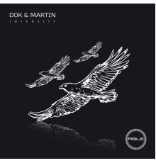 Dok & Martin - Intensity (Original Mix)