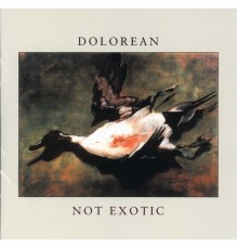 Dolorean - Not Exotic