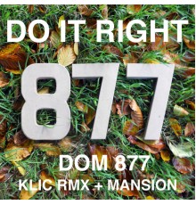 Dom 877 - Do It Right