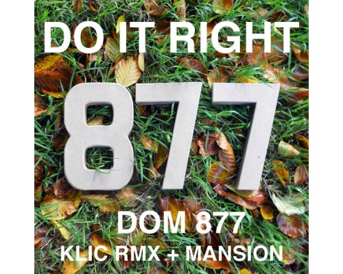 Dom 877 - Do It Right