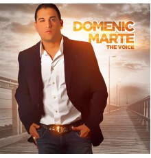 Domenic Marte - The Voice